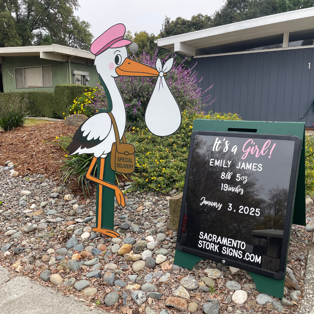 It's A Girl! 1 Week Stork Sign Rental Package