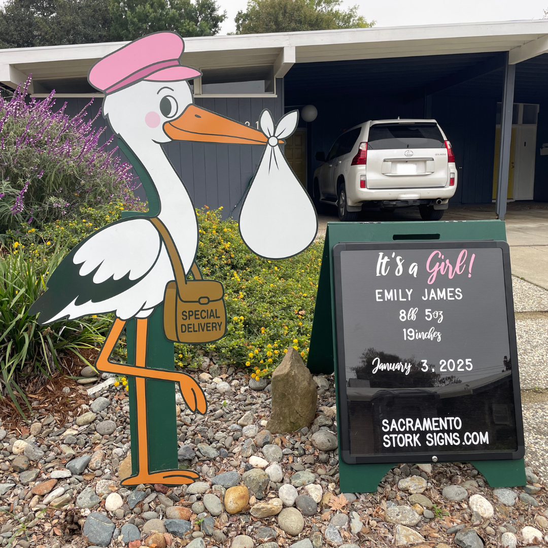 It's A Girl! 1 Week Stork Sign Rental Package