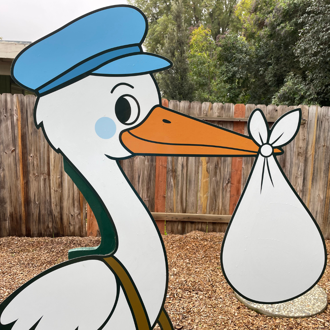It's A Boy! 1 Week Stork Sign Rental Package