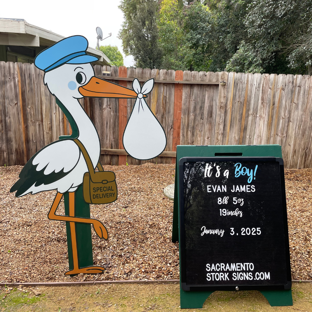 It's A Boy! 1 Week Stork Sign Rental Package